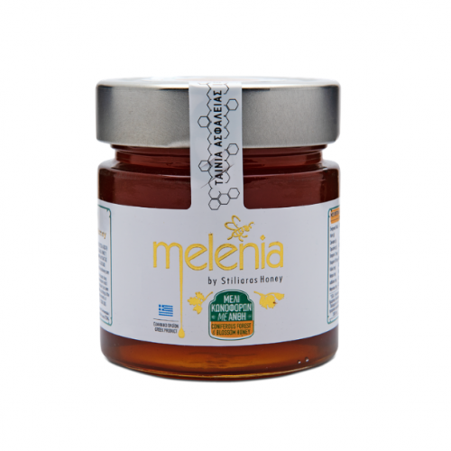 Melenia: Coniferous Forest and Blossom Honey 300gr